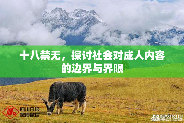 十八禁无，探讨社会对成人内容的边界与界限