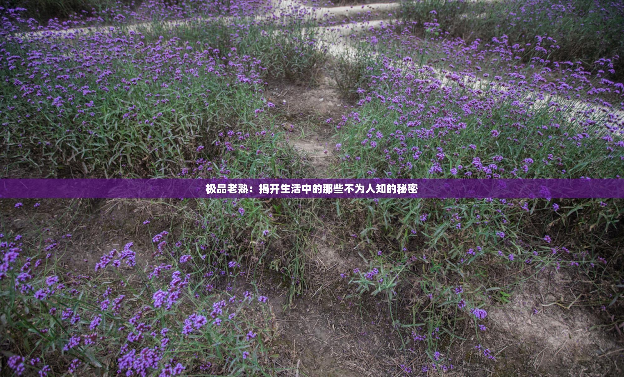极品老熟：揭开生活中的那些不为人知的秘密