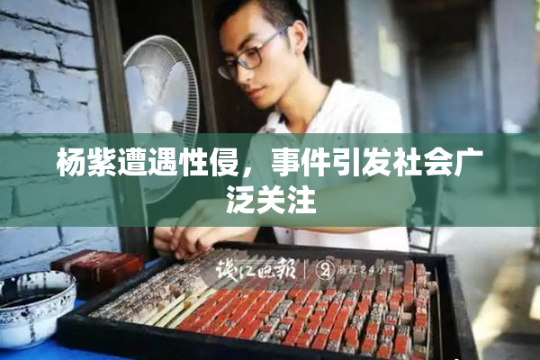 杨紫遭遇性侵，事件引发社会广泛关注