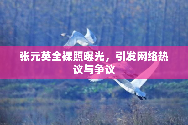 张元英全裸照曝光，引发网络热议与争议