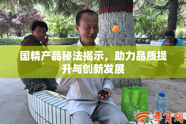 国精产品秘法揭示，助力品质提升与创新发展