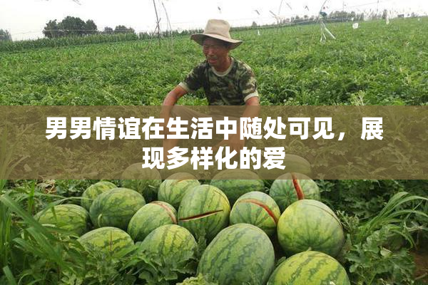 男男情谊在生活中随处可见，展现多样化的爱