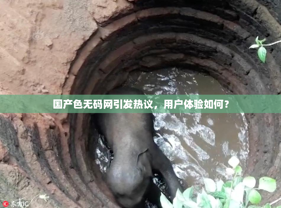 国产色无码网引发热议，用户体验如何？