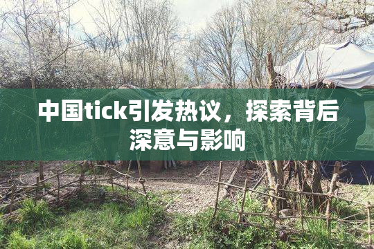 中国tick引发热议，探索背后深意与影响