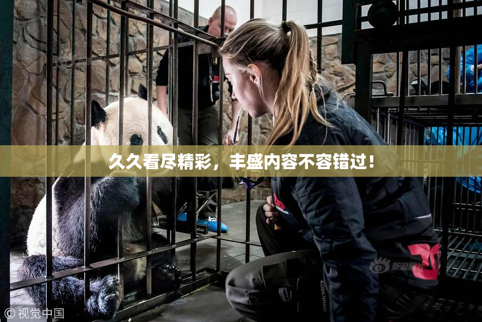 久久看尽精彩，丰盛内容不容错过！