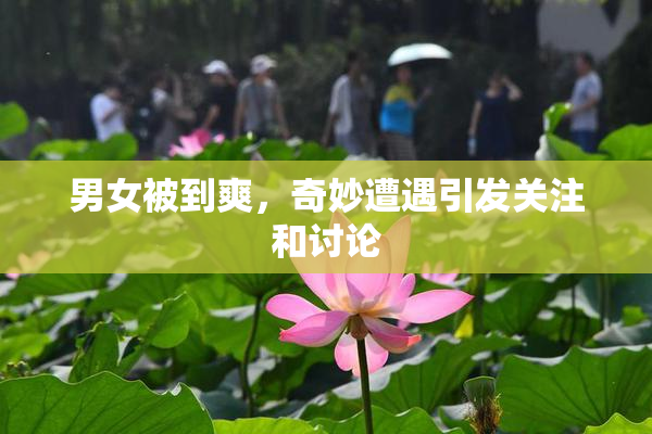 男女被到爽，奇妙遭遇引发关注和讨论