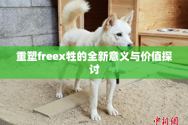 重塑freex牲的全新意义与价值探讨