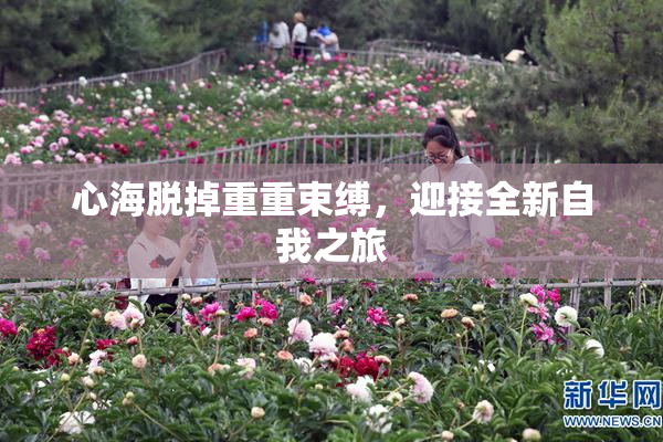 心海脱掉重重束缚，迎接全新自我之旅