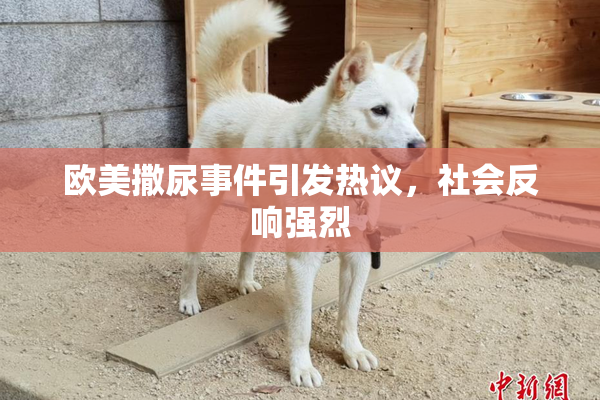 欧美撒尿事件引发热议，社会反响强烈