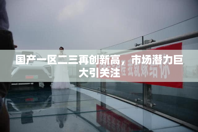 国产一区二三再创新高，市场潜力巨大引关注