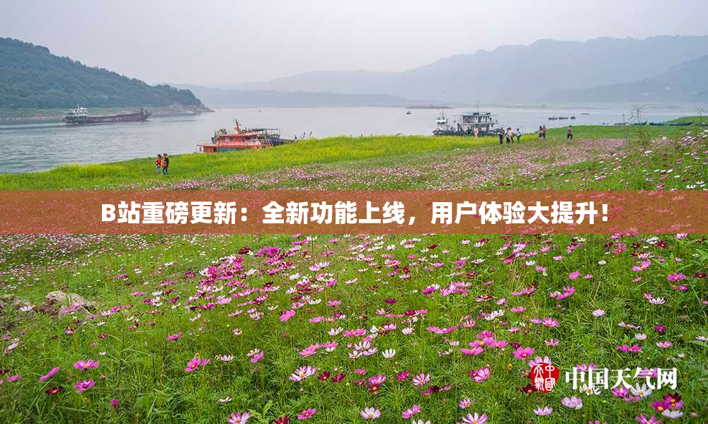 B站重磅更新：全新功能上线，用户体验大提升！