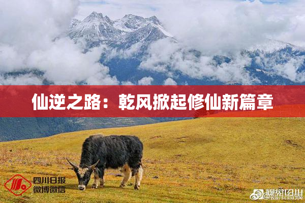 仙逆之路：乾风掀起修仙新篇章