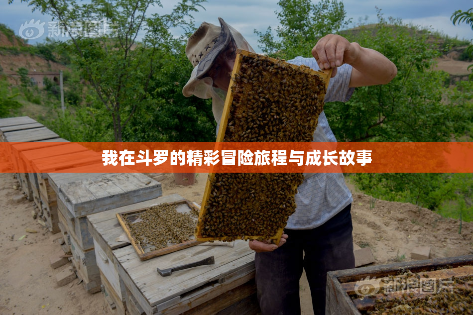 我在斗罗的精彩冒险旅程与成长故事