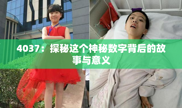 4037：探秘这个神秘数字背后的故事与意义