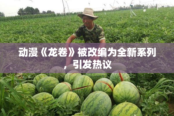 动漫《龙卷》被改编为全新系列，引发热议