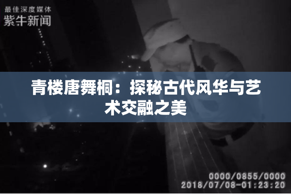 青楼唐舞桐：探秘古代风华与艺术交融之美
