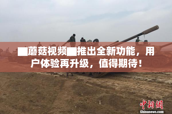 ▇蘑菇视频▇推出全新功能，用户体验再升级，值得期待！