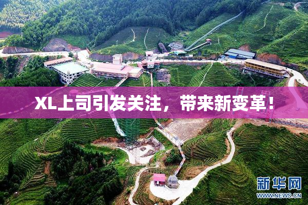 XL上司引发关注，带来新变革！