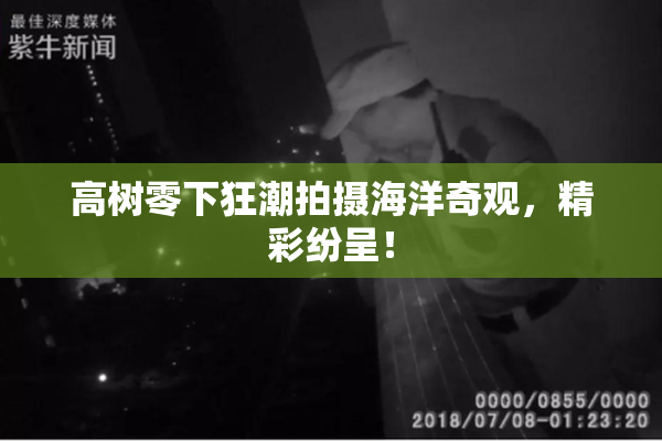 高树零下狂潮拍摄海洋奇观，精彩纷呈！