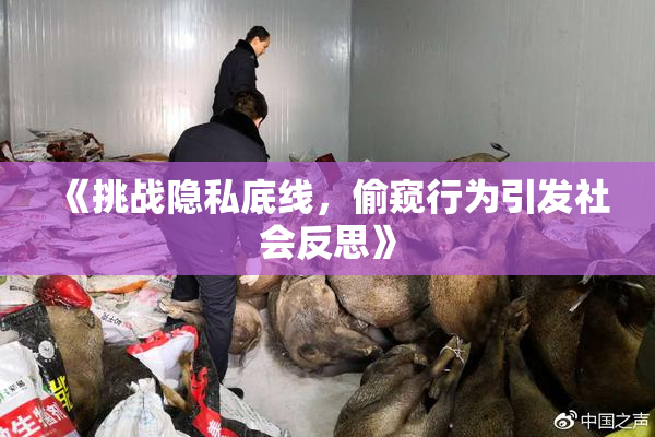 《挑战隐私底线，偷窥行为引发社会反思》
