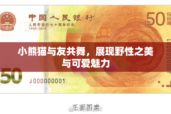 小熊猫与友共舞，展现野性之美与可爱魅力