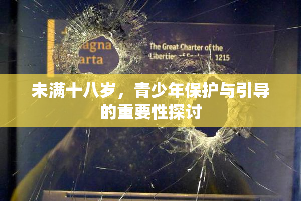 未满十八岁，青少年保护与引导的重要性探讨