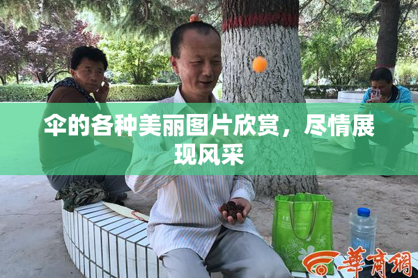 伞的各种美丽图片欣赏，尽情展现风采