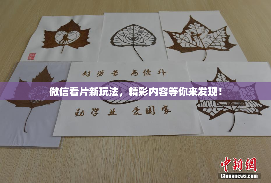 微信看片新玩法，精彩内容等你来发现！