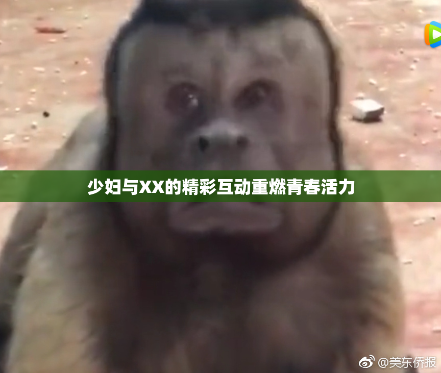 少妇与XX的精彩互动重燃青春活力