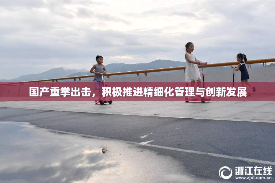 国产重拳出击，积极推进精细化管理与创新发展