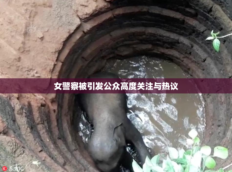 女警察被引发公众高度关注与热议