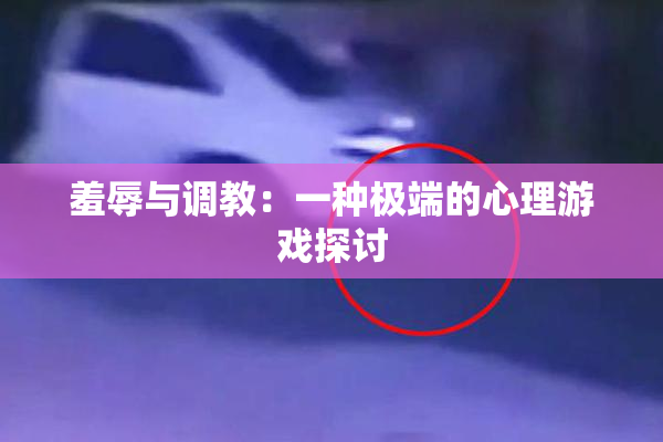羞辱与调教：一种极端的心理游戏探讨