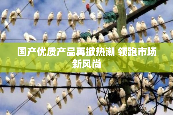 国产优质产品再掀热潮 领跑市场新风尚