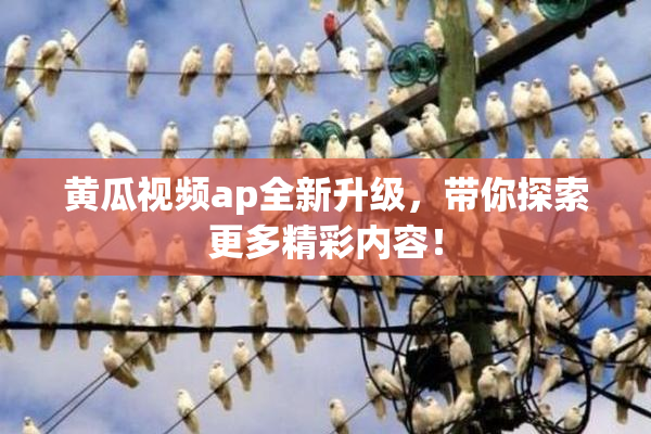 黄瓜视频ap全新升级，带你探索更多精彩内容！