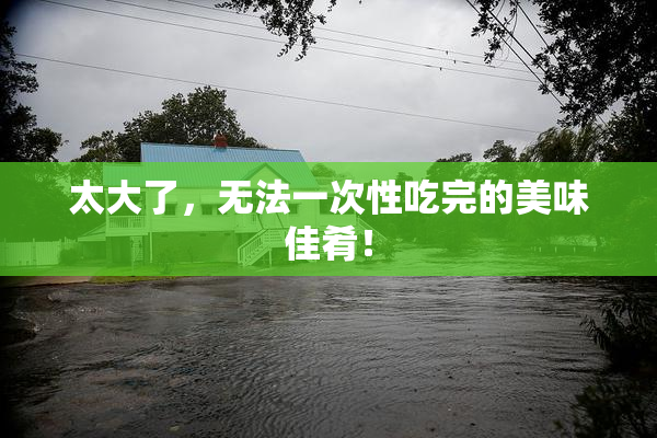 太大了，无法一次性吃完的美味佳肴！