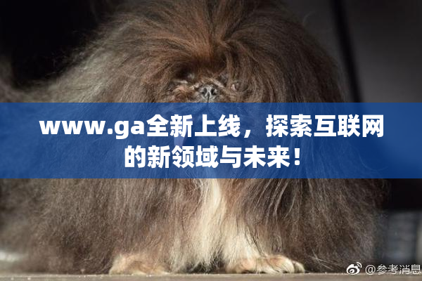 www.ga全新上线，探索互联网的新领域与未来！