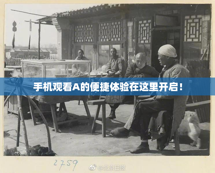手机观看A的便捷体验在这里开启！