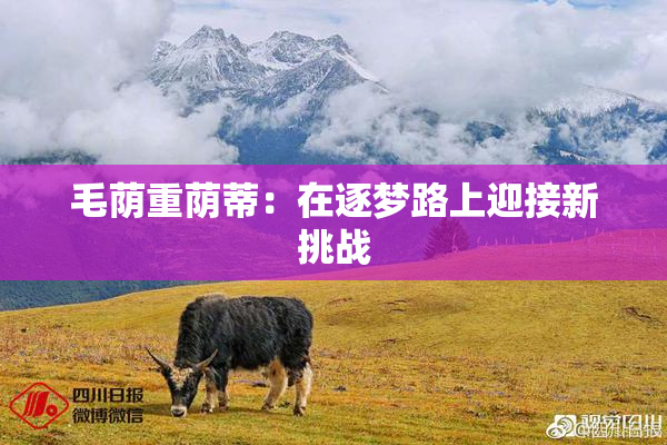 毛荫重荫蒂：在逐梦路上迎接新挑战