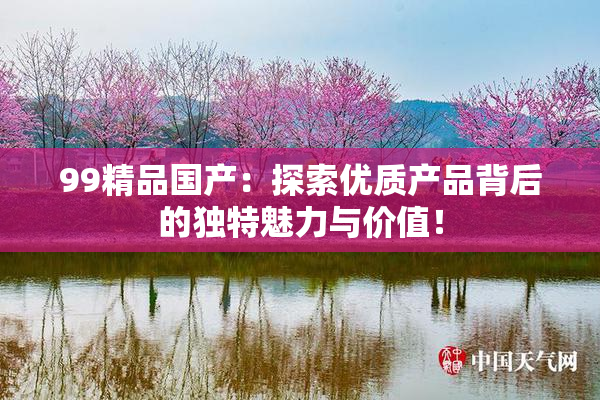 99精品国产：探索优质产品背后的独特魅力与价值！