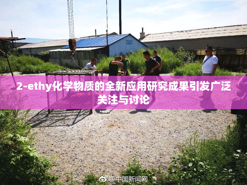 2-ethy化学物质的全新应用研究成果引发广泛关注与讨论