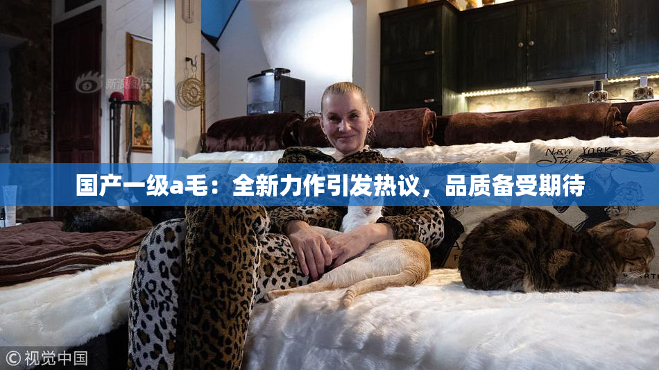 国产一级a毛：全新力作引发热议，品质备受期待