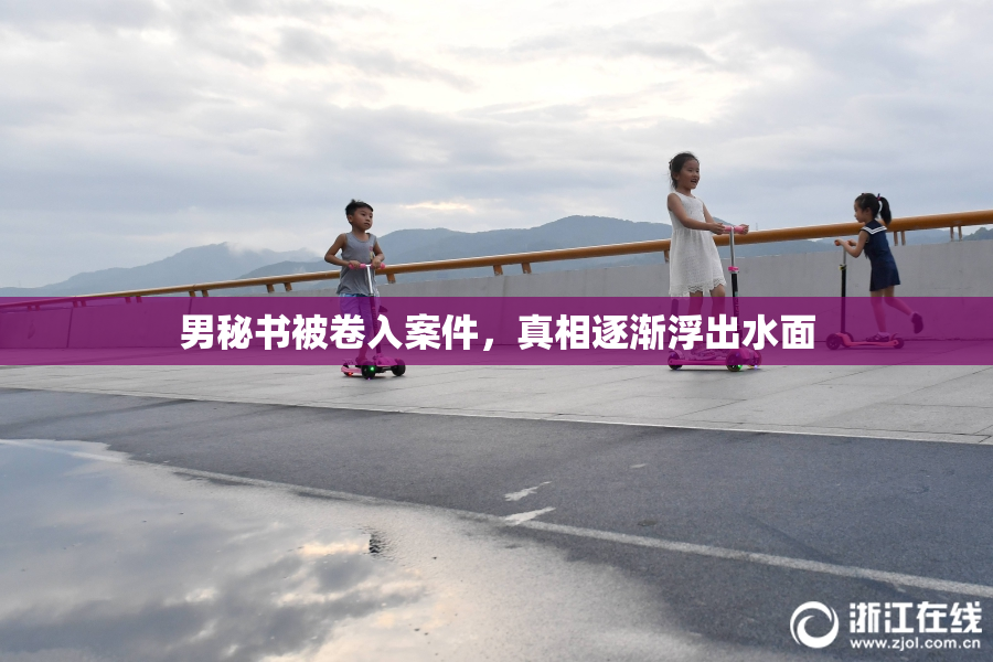 男秘书被卷入案件，真相逐渐浮出水面
