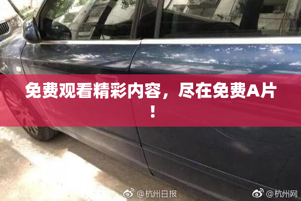 免费观看精彩内容，尽在免费A片！