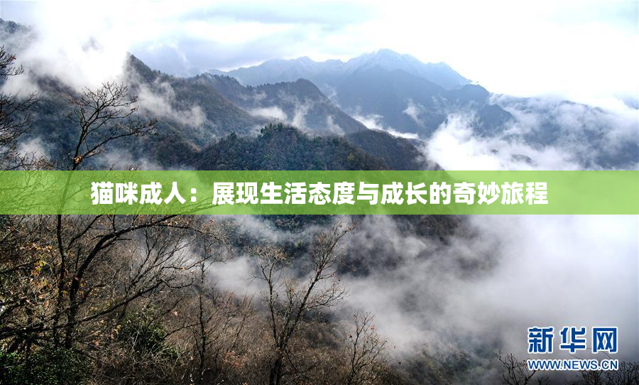 猫咪成人：展现生活态度与成长的奇妙旅程