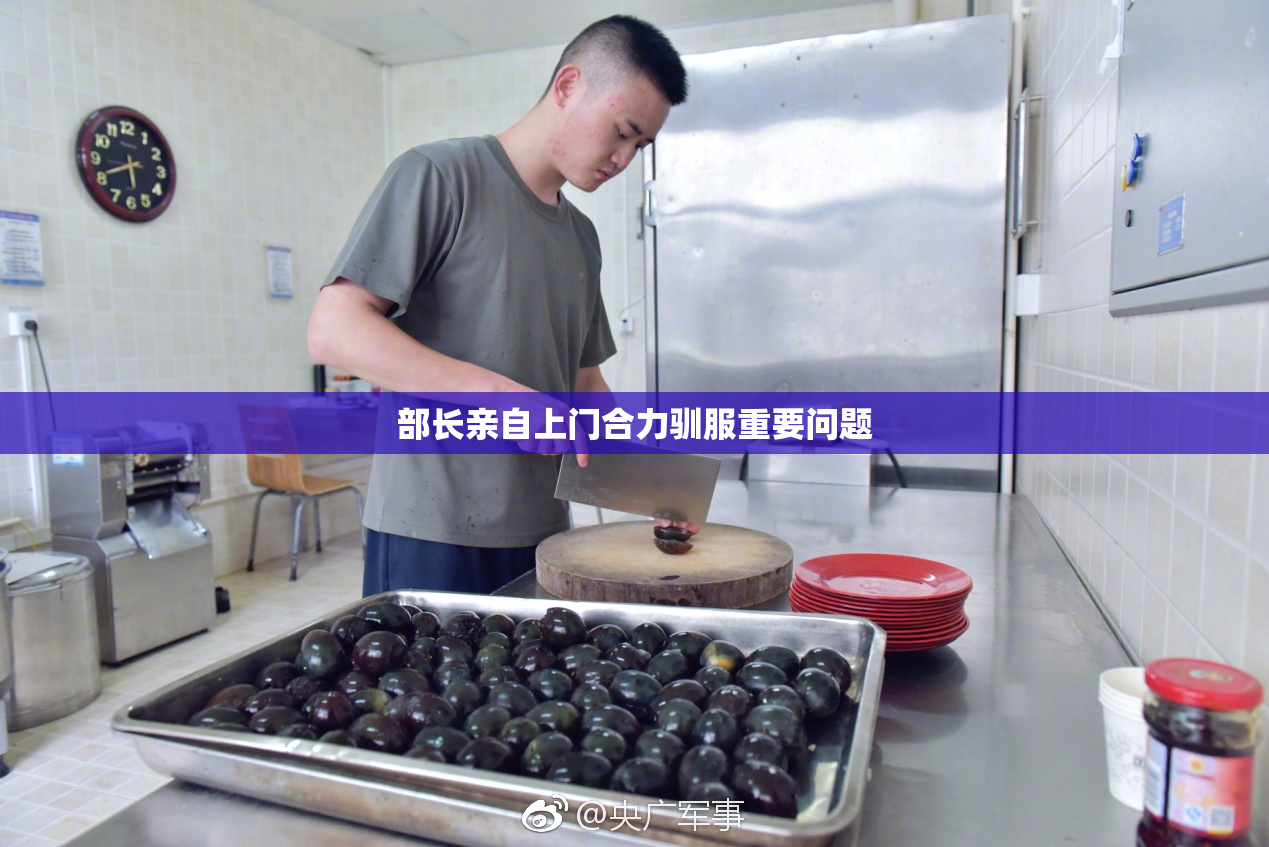 部长亲自上门合力驯服重要问题