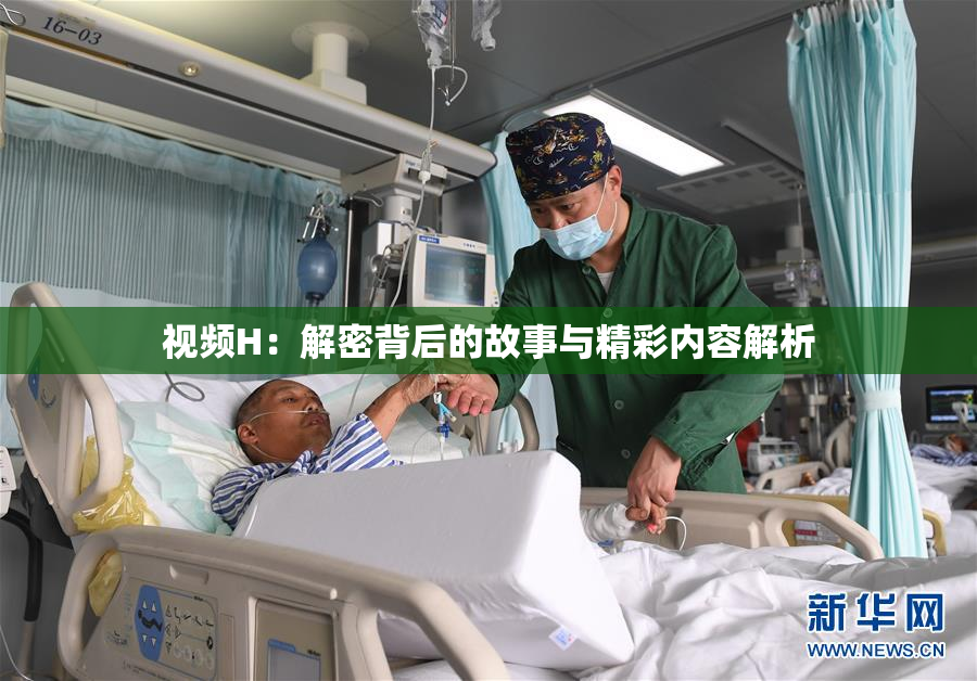 视频H：解密背后的故事与精彩内容解析