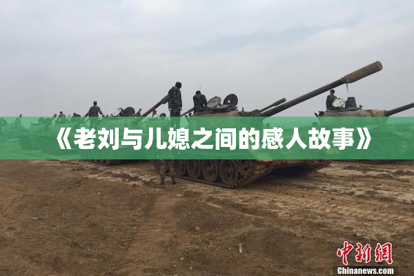 《老刘与儿媳之间的感人故事》