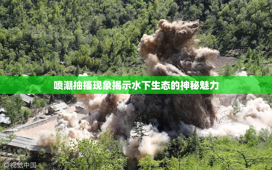 喷潮抽搐现象揭示水下生态的神秘魅力