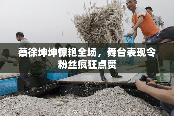蔡徐坤坤惊艳全场，舞台表现令粉丝疯狂点赞