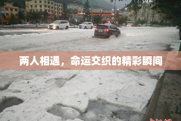两人相遇，命运交织的精彩瞬间